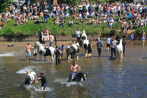Horses being washed in the River Eden during the Appleby Horse Fair